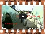 索尔兹伯里大草原--我的卡伐蒂娜