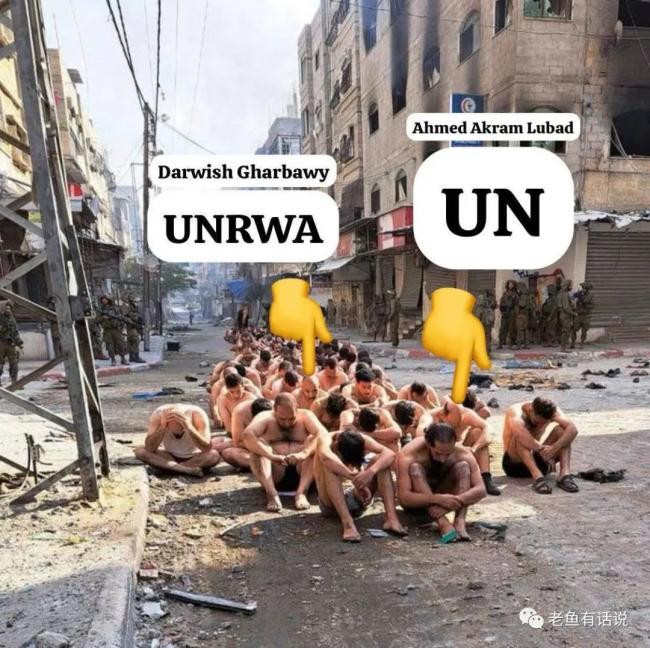 文章配图