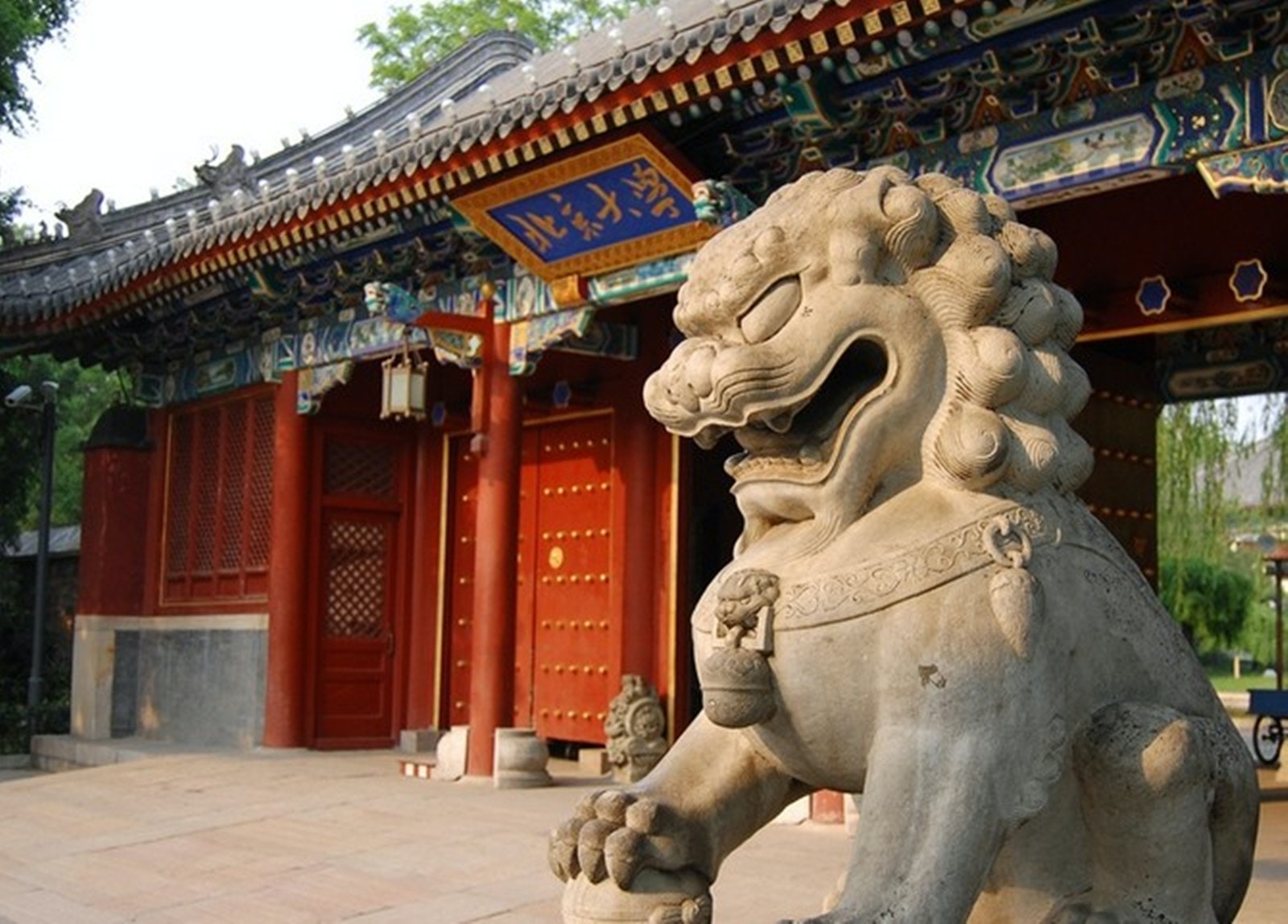 文章配图