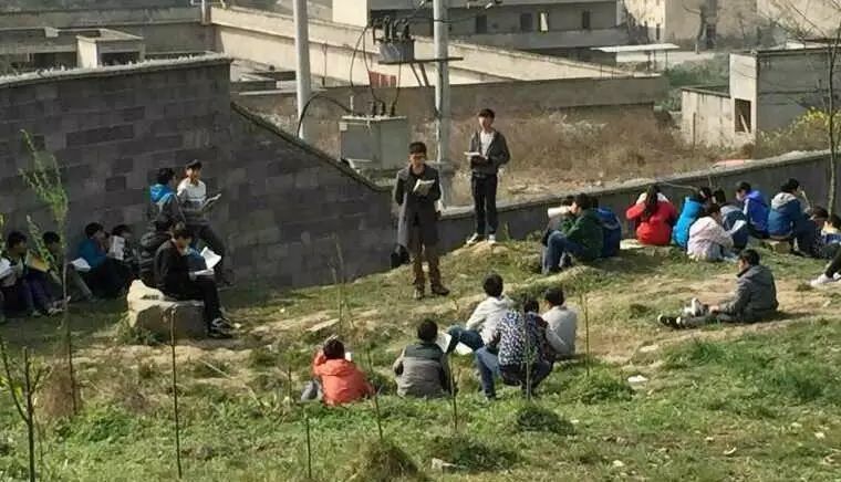 文章配图